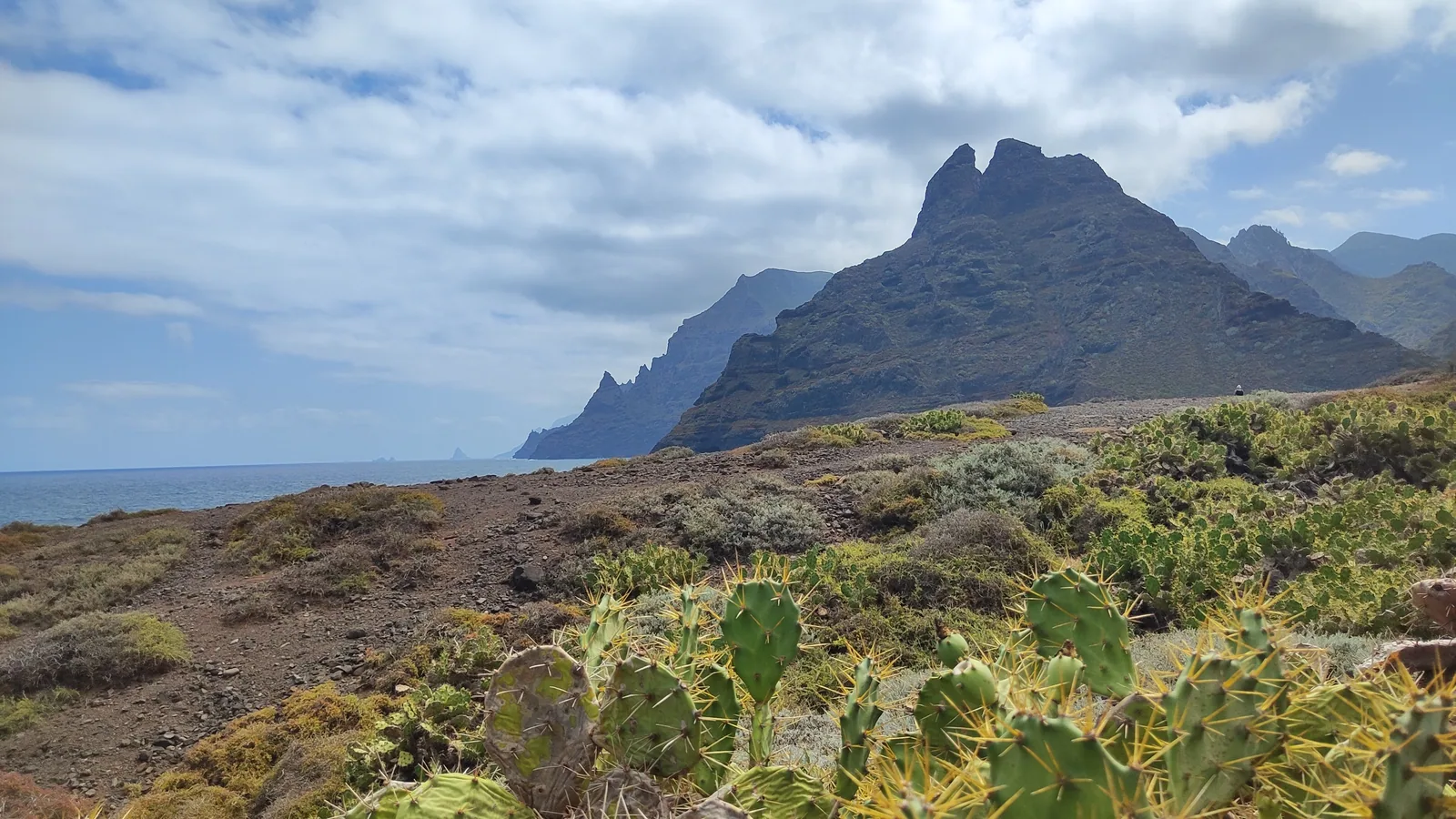 Roque Dos Hermanos y los acantilados del macizo de Anaga vistos desde el litoral de Punta del Hidalgo, con tuneras en primer plano y el Atlántico a la izquierda, costa norte de Tenerife