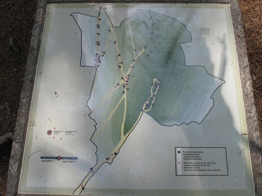 Panel de pinos pintados del Bosque de Oma compuesto desde la perspectiva exacta, obra de Ibarrola
