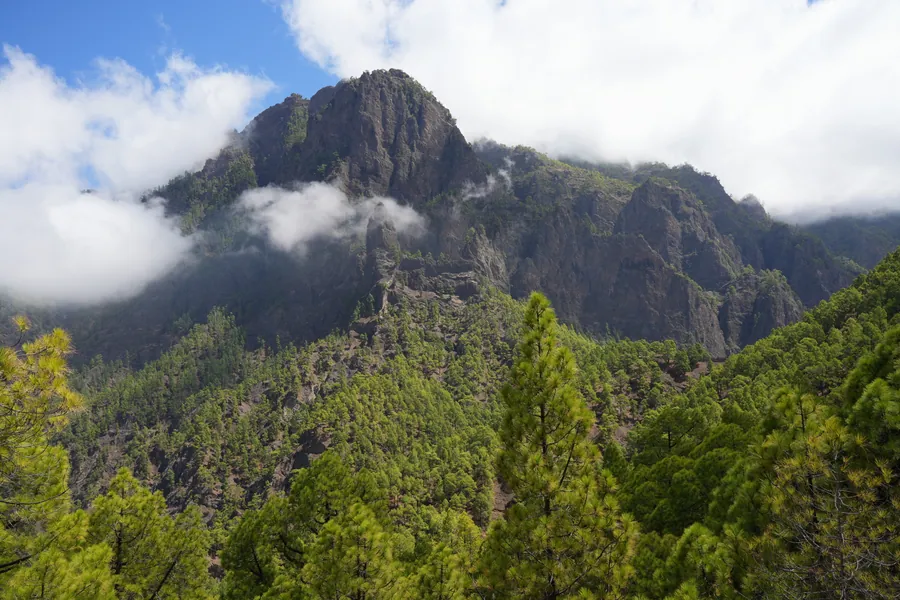 La pared interior de la Caldera de Taburiente vista desde el sendero del Lomo de las Chozas, junto a La Cumbrecita, con el Roque Idafe en el centro y el pinar canario en primer término, La Palma