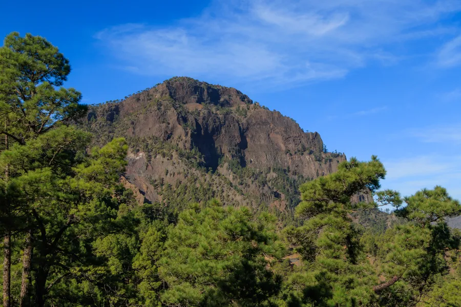 La silueta del Pico Bejenado (1.854 m) con sus riscos escalonados de roca volcánica y el pinar canario que cubre la ladera, Parque Nacional de la Caldera de Taburiente, El Paso, La Palma