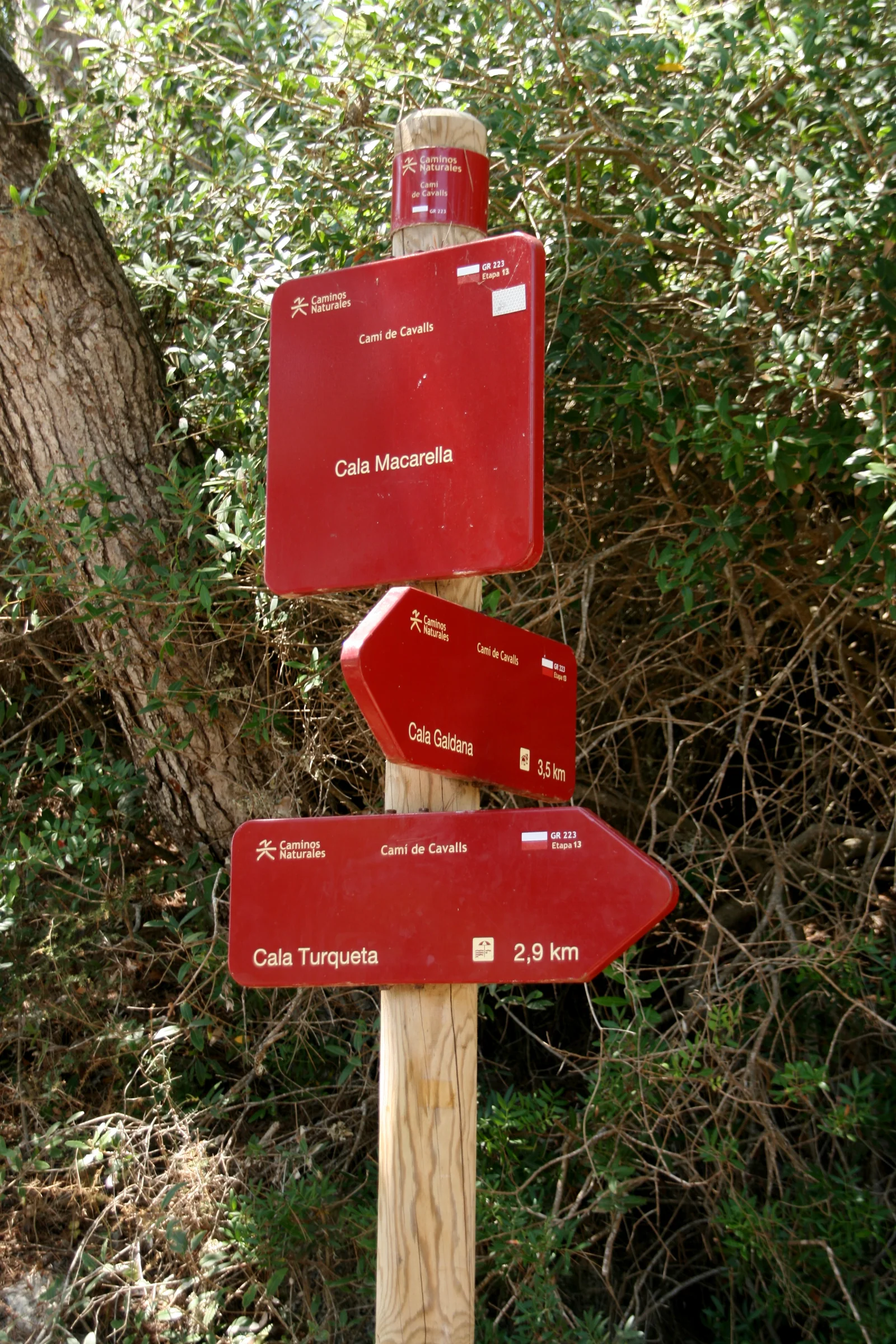 Señalización del Camí de Cavalls (GR-223) en el barranco de Macarella, Menorca