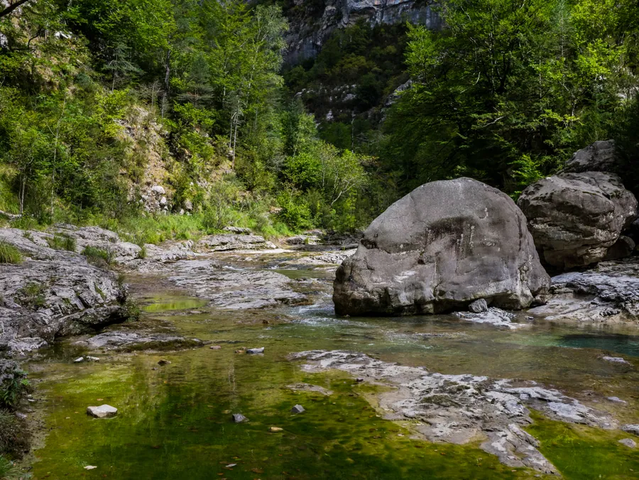 El río Bellós en el fondo del cañón de Añisclo, con el agua verde remansada sobre la losa caliza y el bosque trepando por las paredes del desfiladero, Parque Nacional de Ordesa y Monte Perdido