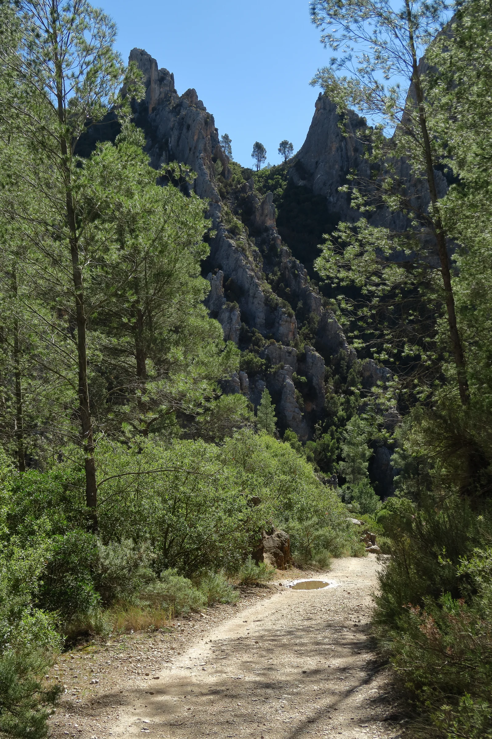 Sendero del cañón con las cuchillas de roca de Contreras al fondo
