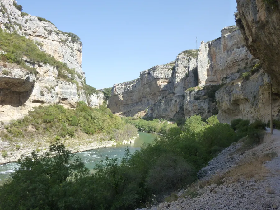 Cañón calizo de la Foz de Lumbier con buitres leonados