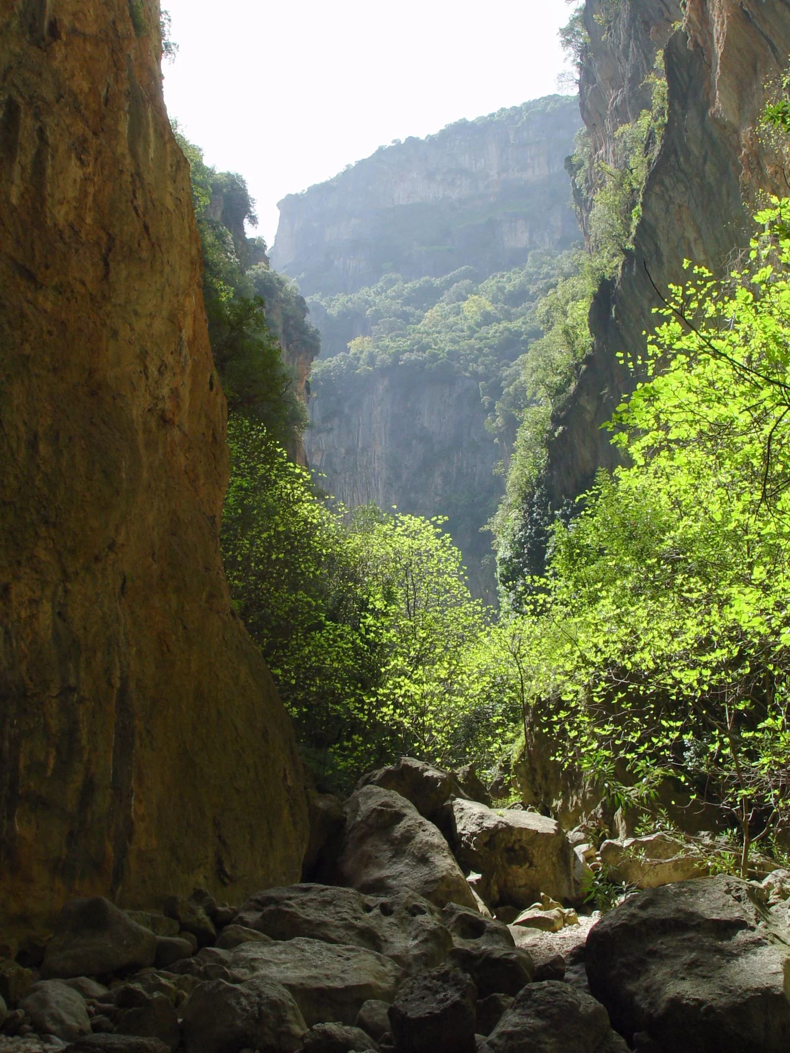 Interior del cañón de la Garganta Verde hacia la zona de la Cueva de la Ermita, Grazalema