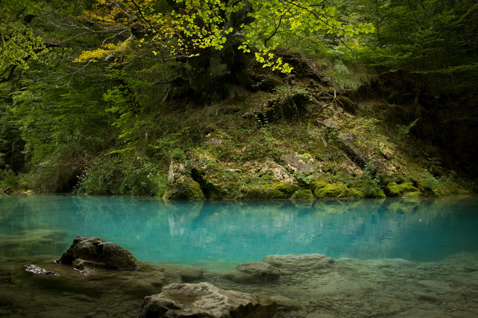 El río Urederra junto al nacedero, con el característico color del agua